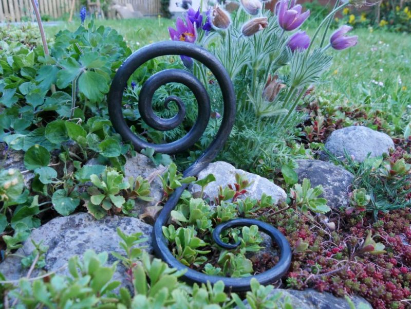 Die Spirale des Lebens Holistische Tanztherapie