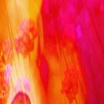 Das innere Feuer entfalten