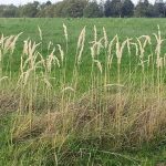 Tanz und Bewegung